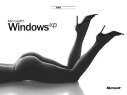 [1864]Legs_Preview.jpg