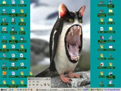 pudesktop.jpg