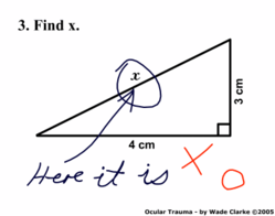 Exam.png