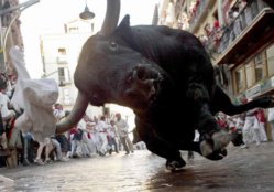 Bull.jpg