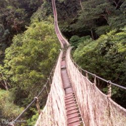 Bridge.jpg