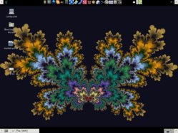 butterfly.jpg