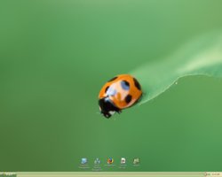 desktop.jpg