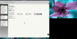 network screen.jpg