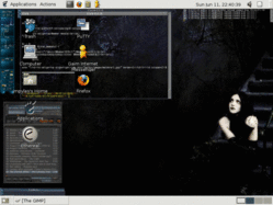 6-11-06-screenshot01.gif