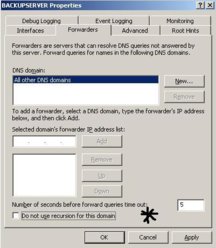 dns.JPG
