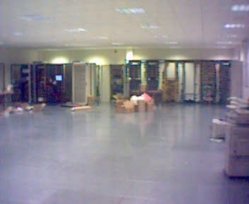 Picture(18).jpg