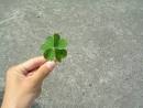 good luck.jpg