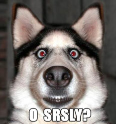 o-srsly.jpg