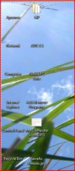 Desktop Icons if set to 32 Bit.JPG