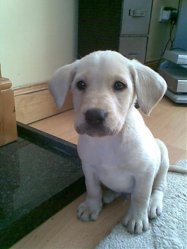 Image137.jpg