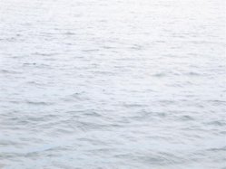 Submarine Racing.JPG