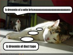 funny-pictures-cats-dream-of-very-different-things.jpg