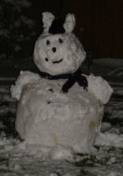 DSC0.jpg