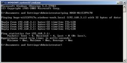 ping servername.jpg