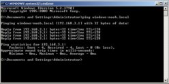 ping DNS.jpg