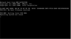 PXE error.jpg