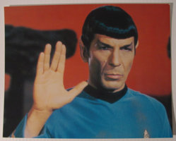 spock8x10.jpg
