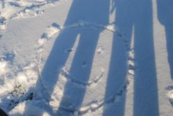 DSC_0031.JPG