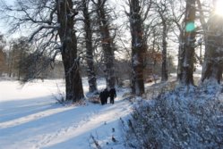 DSC_0042.JPG