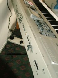 DSCF4895.jpg