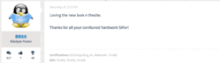 SelectionTool.gif