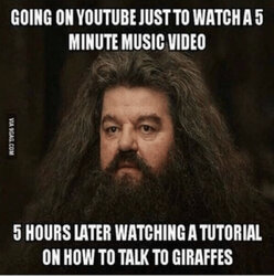 657EE288-57F0-4CF8-B9E9-C46280A417C7.jpeg