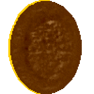 Jaffa