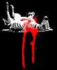 deadzebra
