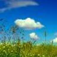 Mr-Blue-Sky