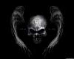 metalhead66