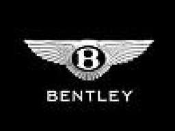 bentleyboy