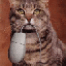 kat731