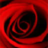 Rosy
