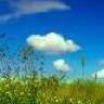 Mr-Blue-Sky