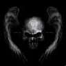 metalhead66