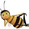 EvilBee