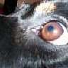 nelly2208
