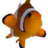 Percula