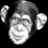 kinger247