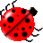 oilovlam
