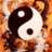 YinYang