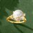 Goldenroach