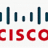 cisco_toddler
